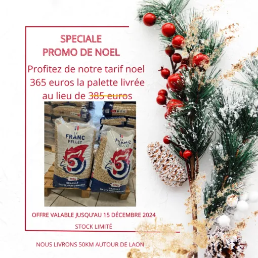 Notre promo de Noël, Laon, FE Pellet